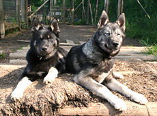 Betty und Anouk